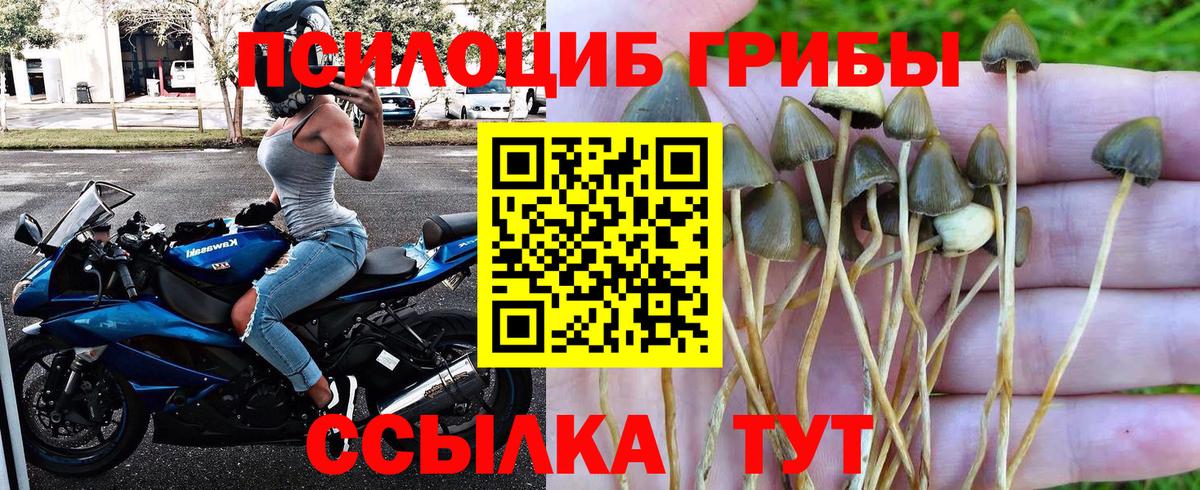 Галлюциногенные грибы мухоморы Рузаевка