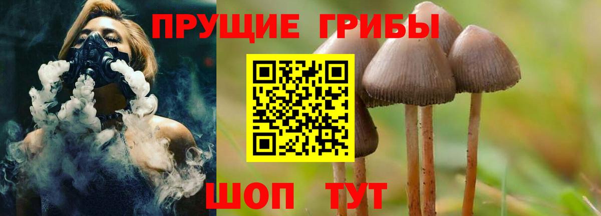 Галлюциногенные грибы мицелий  купить  цена  Рузаевка  Вход с VPN  Галлюциногенные грибы Cubensis 